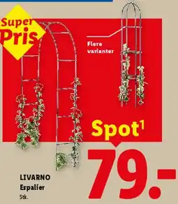 Lidl Espalier tilbud
