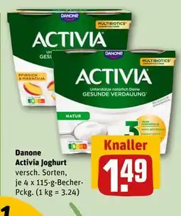 REWE DE Danone Activia Joghurt, EUR 1.49 tilbud