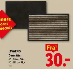 Lidl LIVARNO Dørmåtte tilbud