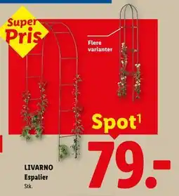 Lidl LIVARNO Espalier tilbud
