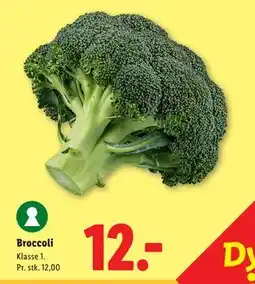 Lidl Broccoli tilbud