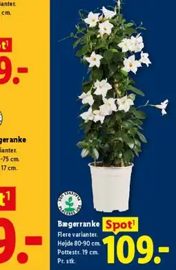 Lidl PARKSIDE Topnøglesæt (216 dele) tilbud