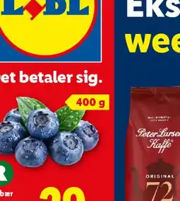 Lidl LIVARNO LED-lanterne / LED-solcellefakler tilbud