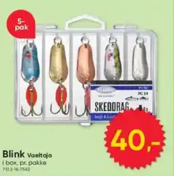 BigDollar Blink Vaeltaja tilbud