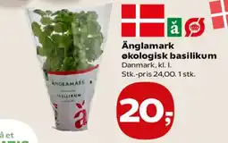 SuperBrugsen Änglamark økologisk basilikum tilbud