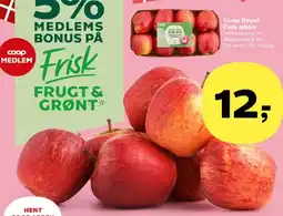 Kvickly Coop Royal Gala æbler tilbud