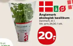 Kvickly Ånglamark økologisk basilikum tilbud