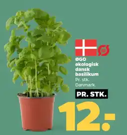 Netto ØGO Økologisk dansk basilikum tilbud