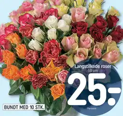 REMA 1000 Langstilkede roser tilbud