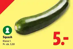 Lidl Squash tilbud
