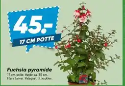 Bilka Fuchsia pyramide tilbud