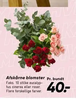 Bilka Afskårne blomster tilbud