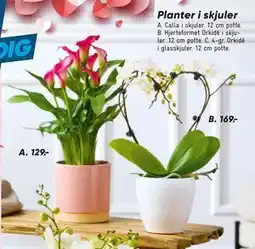 Bilka Calla i skjuler tilbud