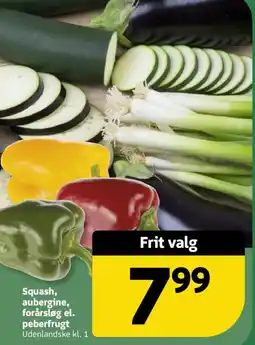 Løvbjerg Squash, aubergine, forårsløg el. peberfrugt tilbud