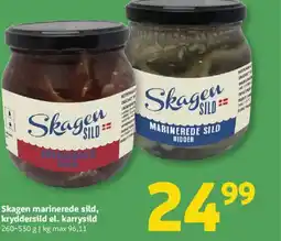 Løvbjerg Skagen marinerede sild, kryddersild el. karrysild tilbud