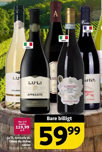 Løvbjerg Lu'li, Amicale el. Côtes du rhône xavier tilbud
