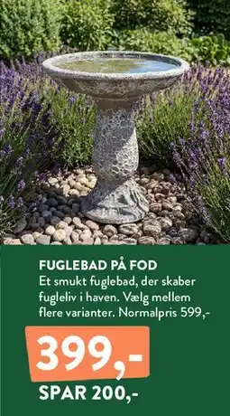 Plantorama Fuglebad på fod tilbud