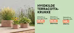 Plantorama Hvidkilde terracotta krukke tilbud
