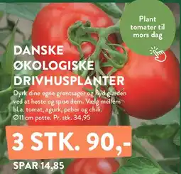 Plantorama Danske økologiske drivhusplanter tilbud