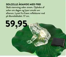Plantorama SOLCELLE ÅKANDE MED FRØ tilbud