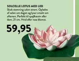 Plantorama SOLCELLE LOTUS MED LED tilbud