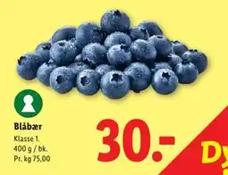 Lidl Blåbær tilbud