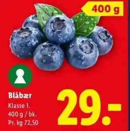Lidl Blåbær tilbud