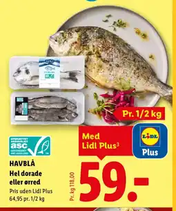 Lidl HAVBLÅ Hel dorade eller ørred tilbud