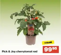 Bauhaus Pick & Joy cherrytomat rød tilbud