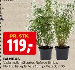 jem & fix Bambus tilbud