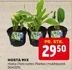 jem & fix HOSTA MIX tilbud