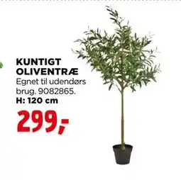 jem & fix KUNTIGT OLIVENTRÆ tilbud