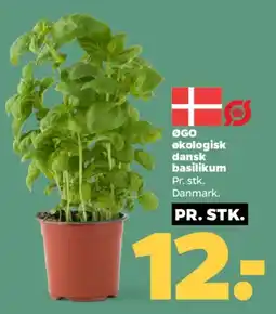 Netto Økologisk dansk basilikum tilbud