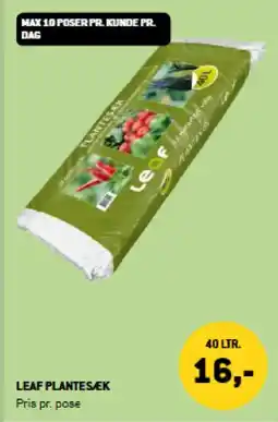 XL-BYG Leaf plantesek tilbud