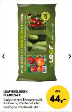 XL-BYG Leaf økologisk plantesæk tilbud