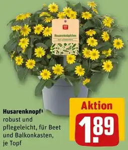 REWE DE Husarenknopf tilbud