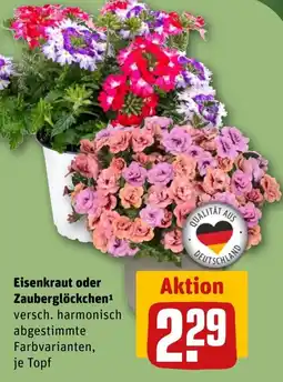 REWE DE Eisenkraut oder zauberglöckche¹ tilbud