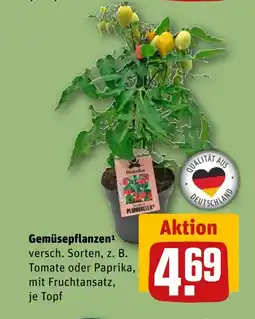 REWE DE Gemüsepflanzen tilbud