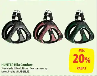 HUNTER Hilo Comfort