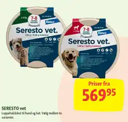 Maxi Zoo Seresto vet tilbud