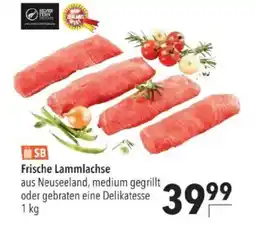 Citti Frische lammlachse tilbud