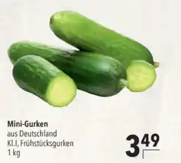 Citti Mini-gurken tilbud