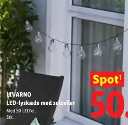 Lidl LIVARNO LED-lyskæde med solceller tilbud