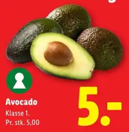 Lidl Avocado tilbud
