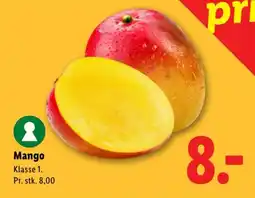 Lidl Mango tilbud