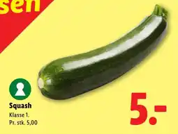 Lidl Squash tilbud
