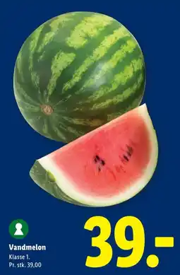 Lidl Vandmelon tilbud