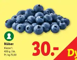 Lidl Blåbær tilbud