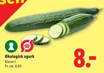Lidl Økologisk agurk tilbud