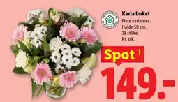 Lidl Karla buket tilbud